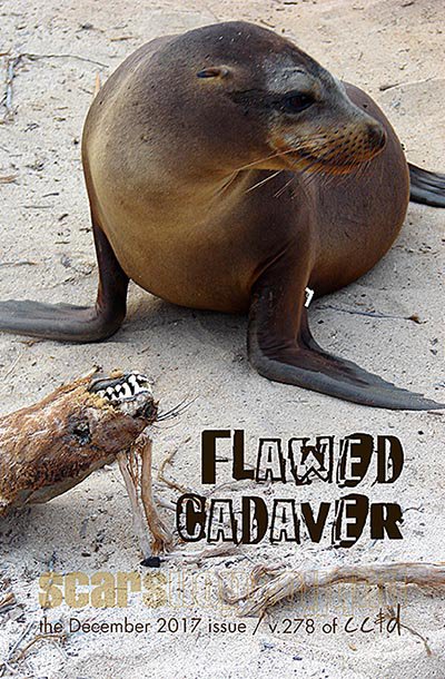 Flawed Cadaver by Scars Publications