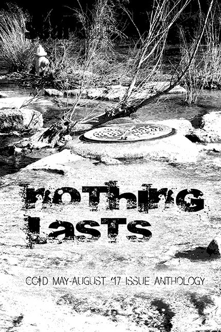 Nothing Lasts by Scars Publications