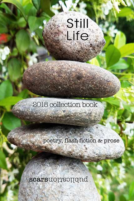 Still Life by Scars Publications