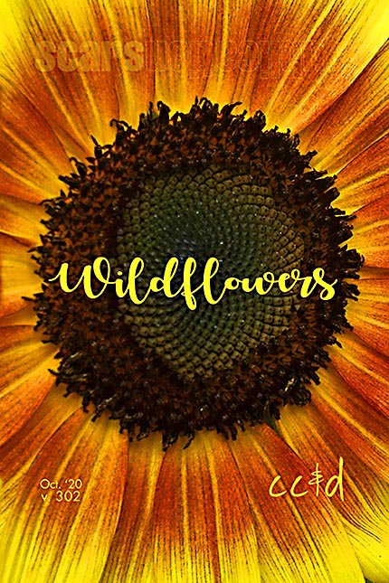 Wildflowers by Scars Publications